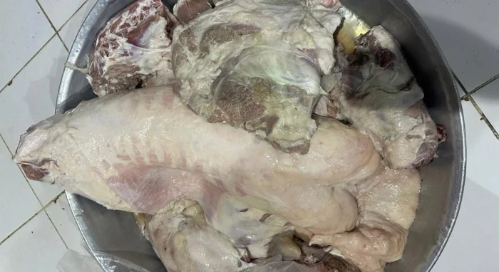 بالصور: مواطن سعودي أحضر ذبائح لمطبخ في عفيف لتجهيز وليمة لضيوفه.. وعند استلام الطعام كانت المفاجأة!